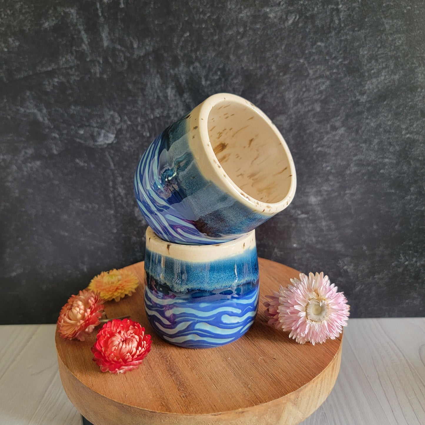 Succulent Pot in Coastal Wave