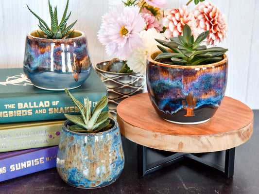 Succulent Pot w/ Gold Cacti - Medium