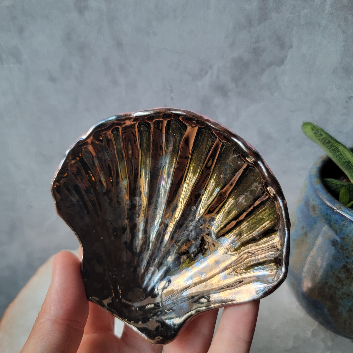 Trinket/Jewelry Tray in Seashell