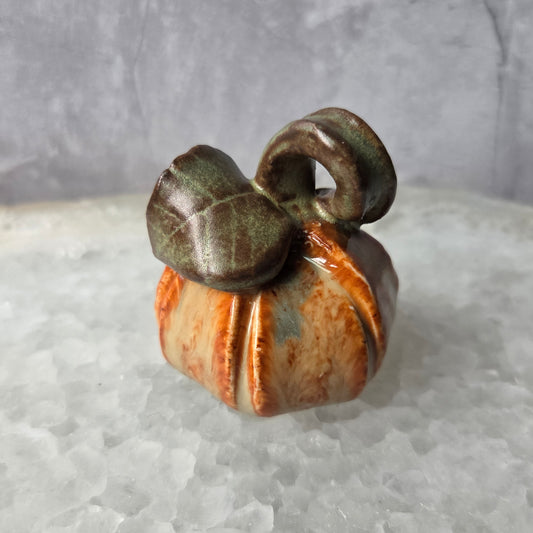 Mini Pumpkins 2026 Editions