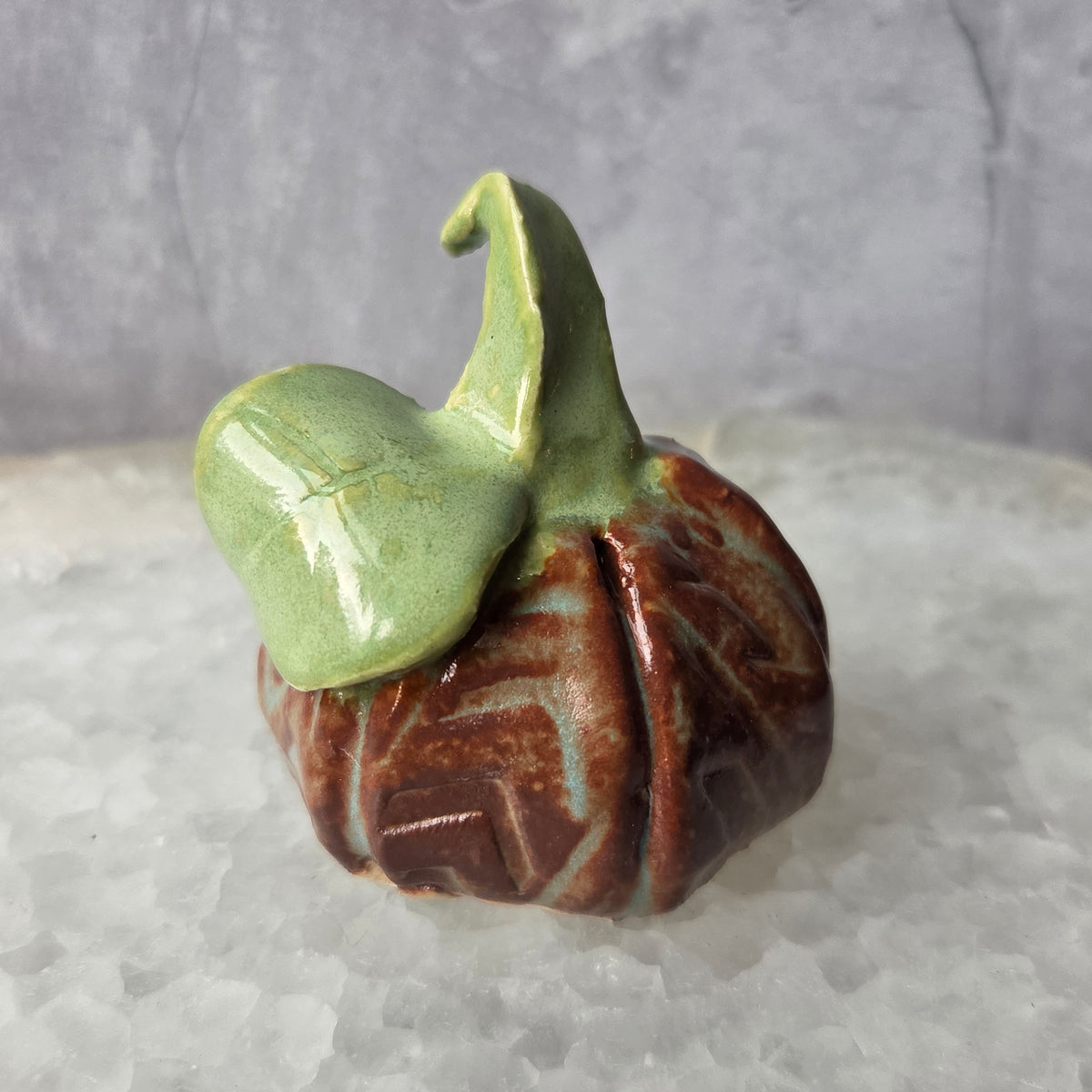 Mini Pumpkins 2026 Editions