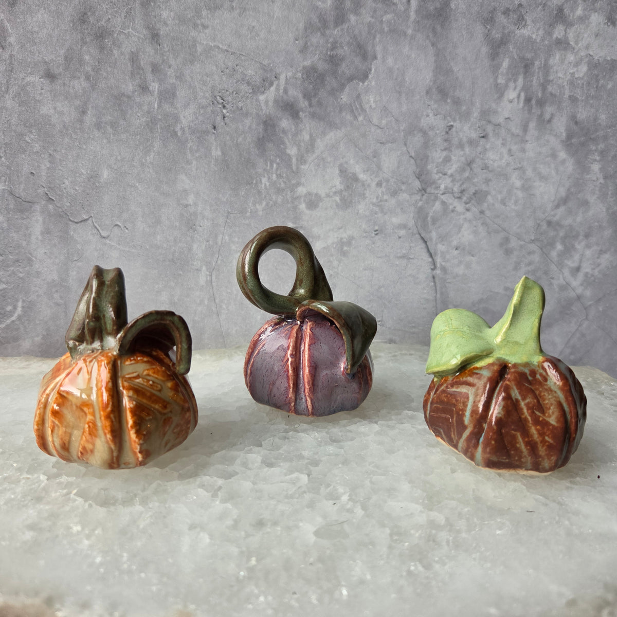 Mini Pumpkins 2026 Editions